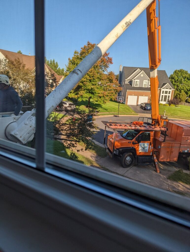 Business queued-photos - JL Tree Services