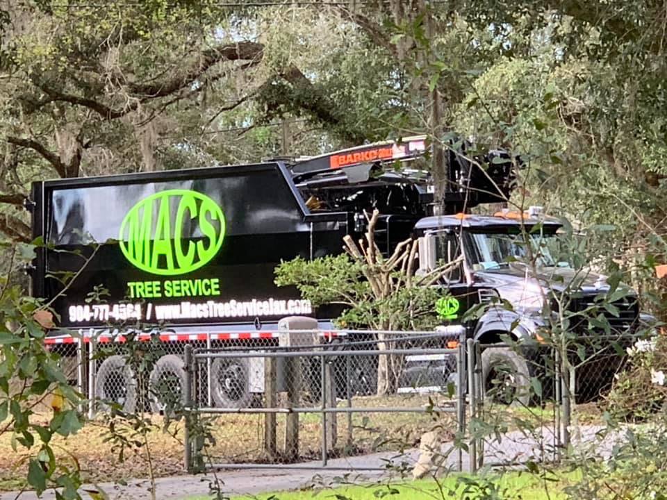 Business queued-photos - Macs Tree Service