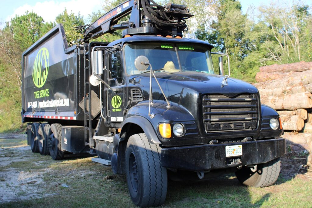 Business queued-photos - Macs Tree Service