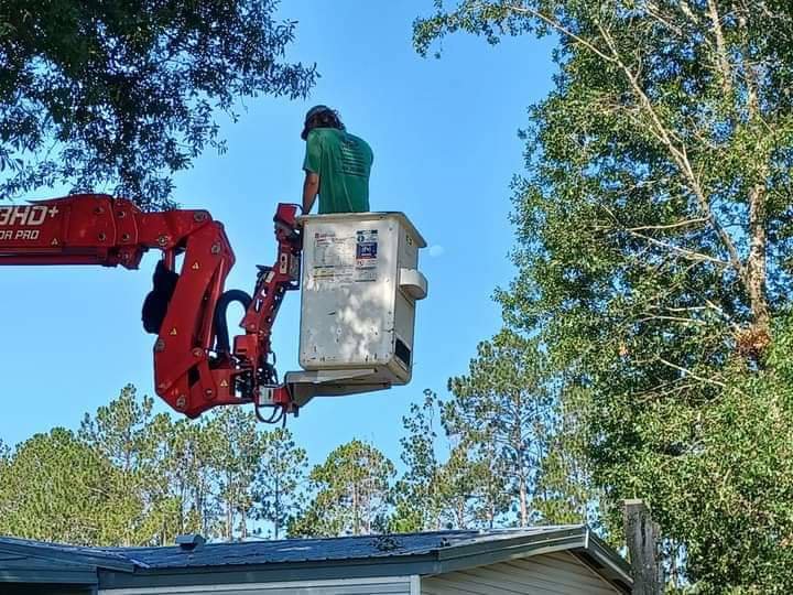 Business queued-photos - Macs Tree Service