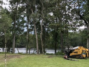 Business queued-photos - Macs Tree Service