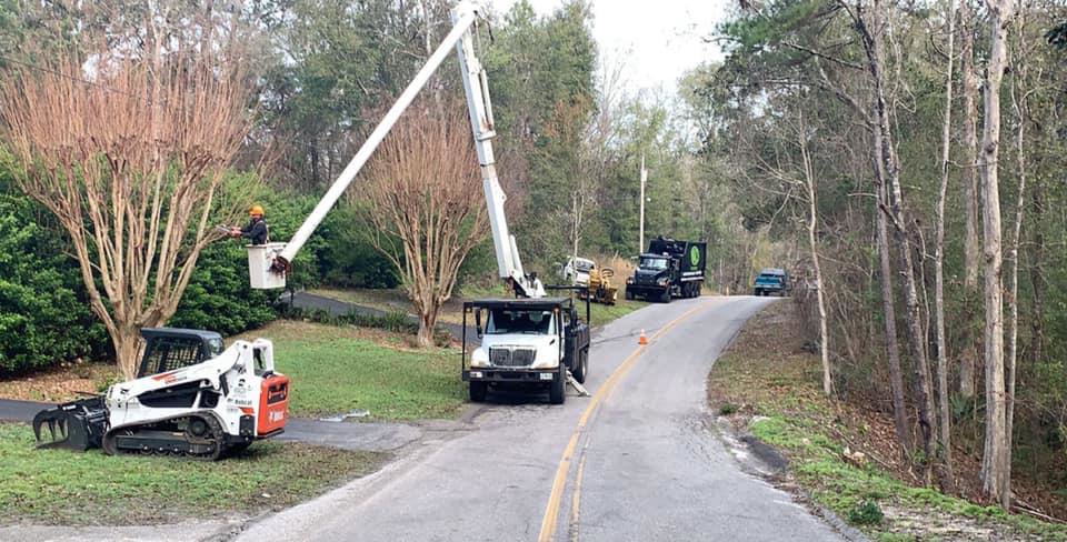 Business queued-photos - Macs Tree Service