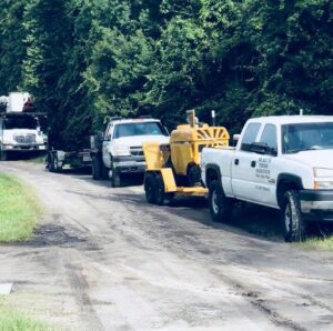 Business queued-photos - Macs Tree Service