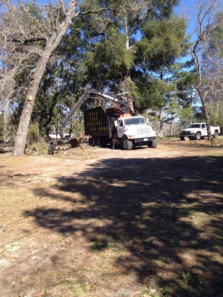 Business queued-photos - Macs Tree Service