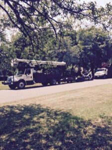 Business queued-photos - Macs Tree Service