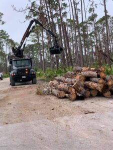 Business queued-photos - Macs Tree Service