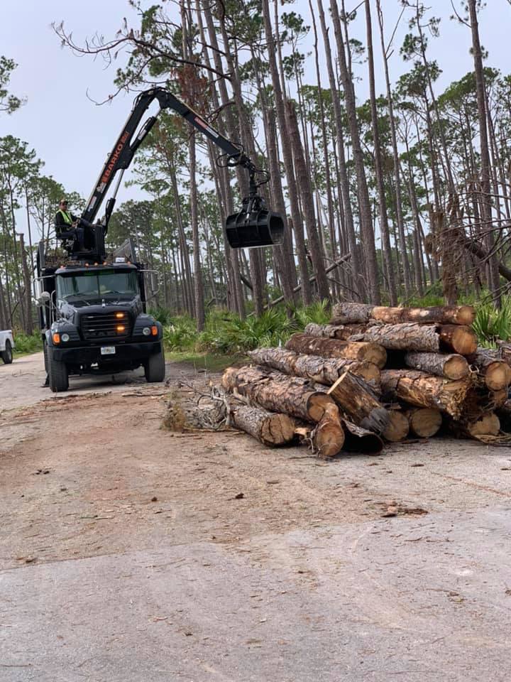 Business queued-photos - Macs Tree Service