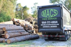 Business queued-photos - Macs Tree Service