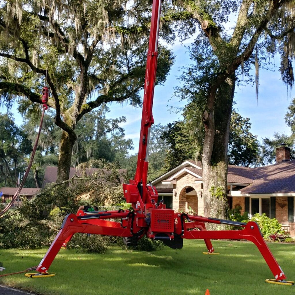 Business queued-photos - Macs Tree Service