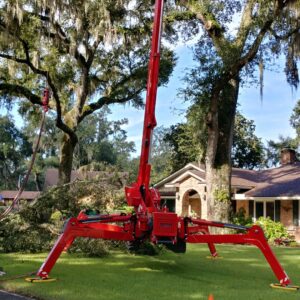Business queued-photos - Macs Tree Service