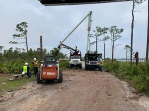 Business queued-photos - Macs Tree Service