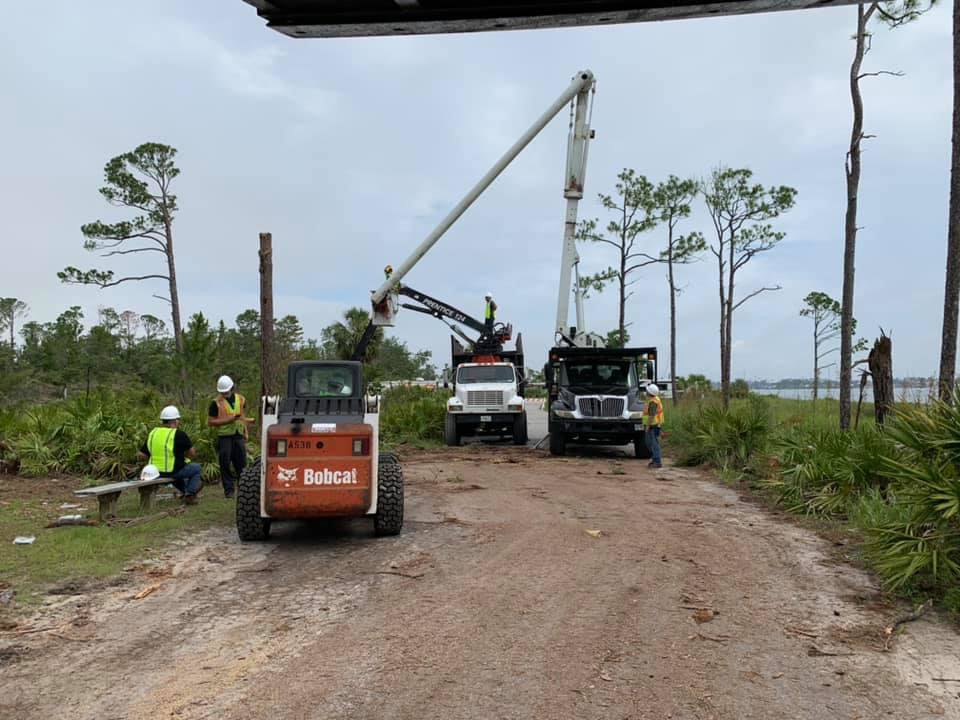 Business queued-photos - Macs Tree Service