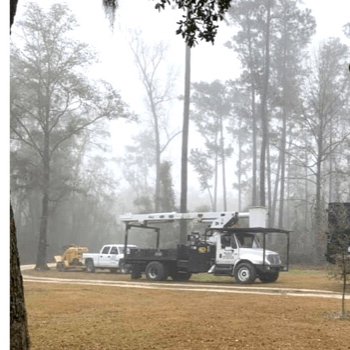 Business queued-photos - Macs Tree Service