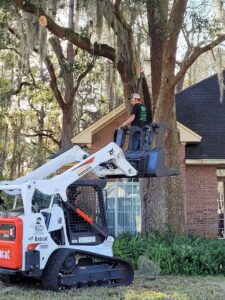 Business queued-photos - Macs Tree Service