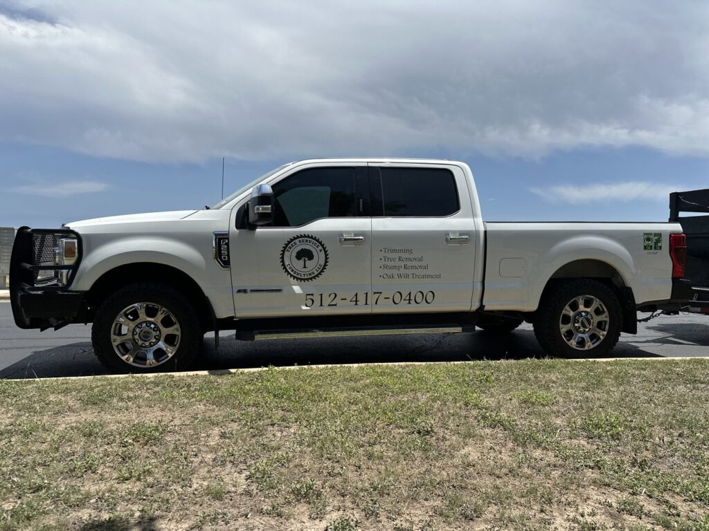 Business queued-photos - Tree Service & Consulting LLC