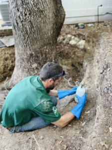 Business queued-photos - Tree Service & Consulting LLC