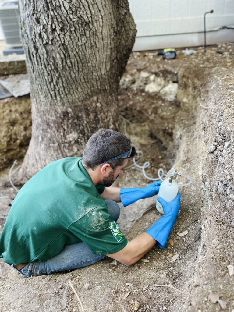 Business queued-photos - Tree Service & Consulting LLC