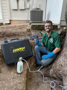 Business queued-photos - Tree Service & Consulting LLC