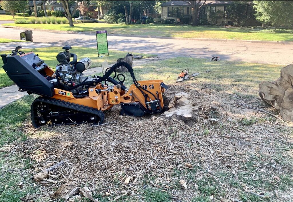 Business queued-photos - Tree Service & Consulting LLC