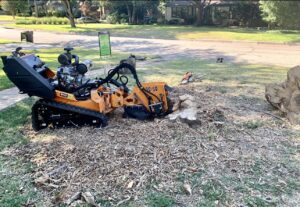 Business queued-photos - Tree Service & Consulting LLC