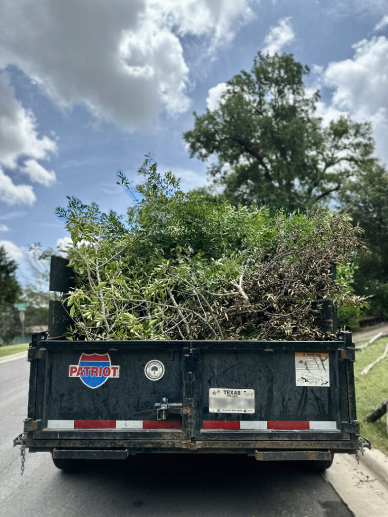 Business queued-photos - Tree Service & Consulting LLC