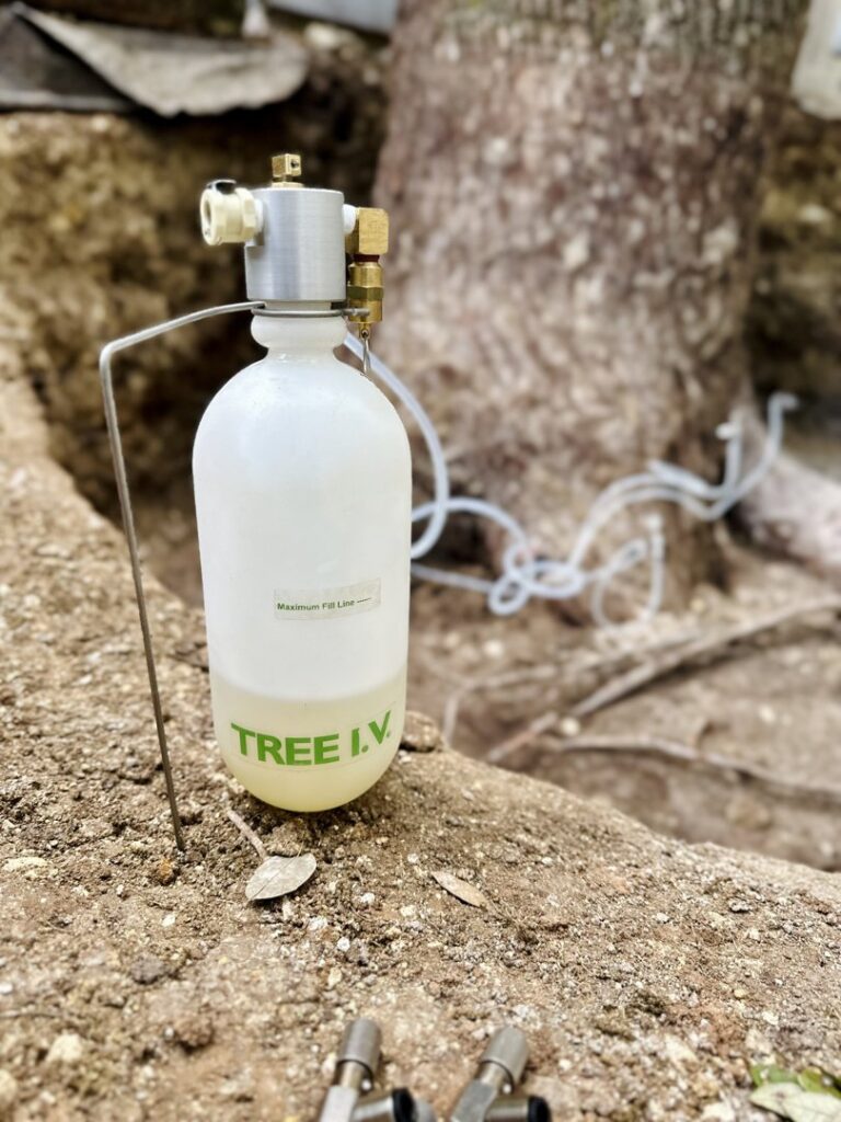 Business queued-photos - Tree Service & Consulting LLC