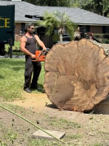 Business queued-photos - Big Ben’s Tree Service
