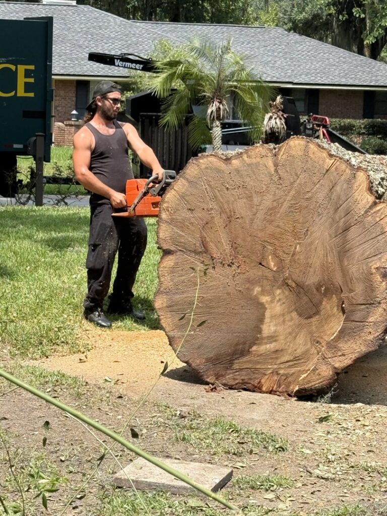 Business queued-photos - Big Ben’s Tree Service