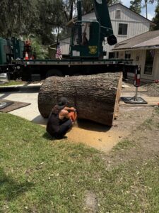 Business queued-photos - Big Ben’s Tree Service