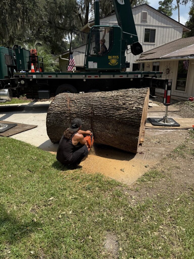 Business queued-photos - Big Ben’s Tree Service