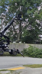 Business queued-photos - Big Ben’s Tree Service