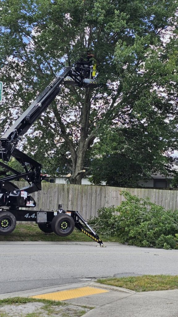 Business queued-photos - Big Ben’s Tree Service