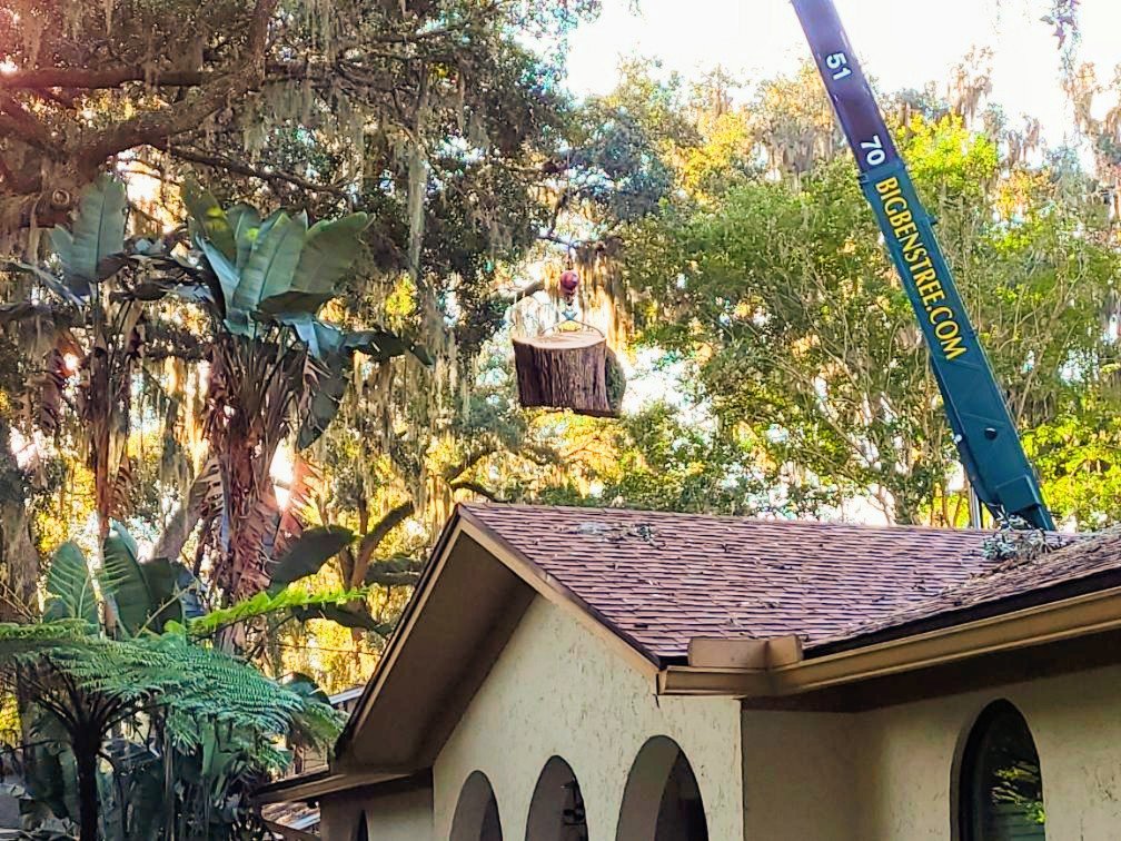 Business queued-photos - Big Ben’s Tree Service
