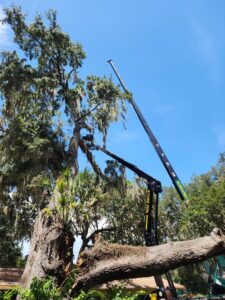 Business queued-photos - Big Ben’s Tree Service