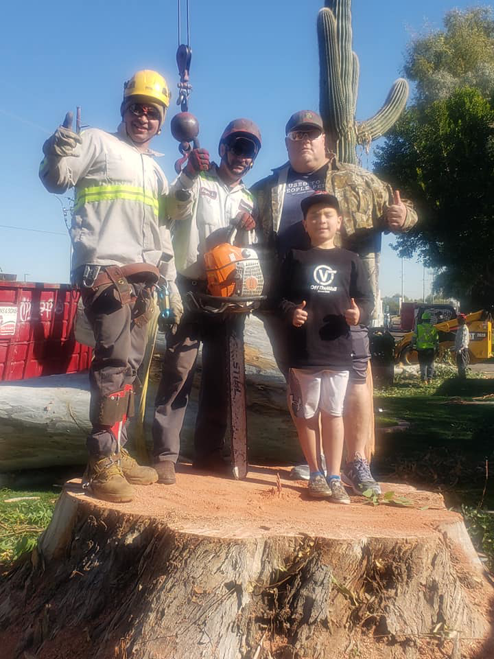 Business queued-photos - Jason’s Tree Service