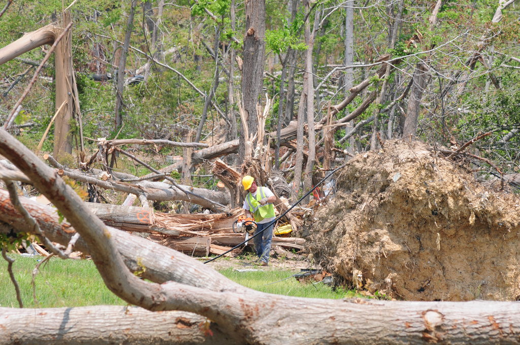 Business queued-photos - Jason’s Tree Service