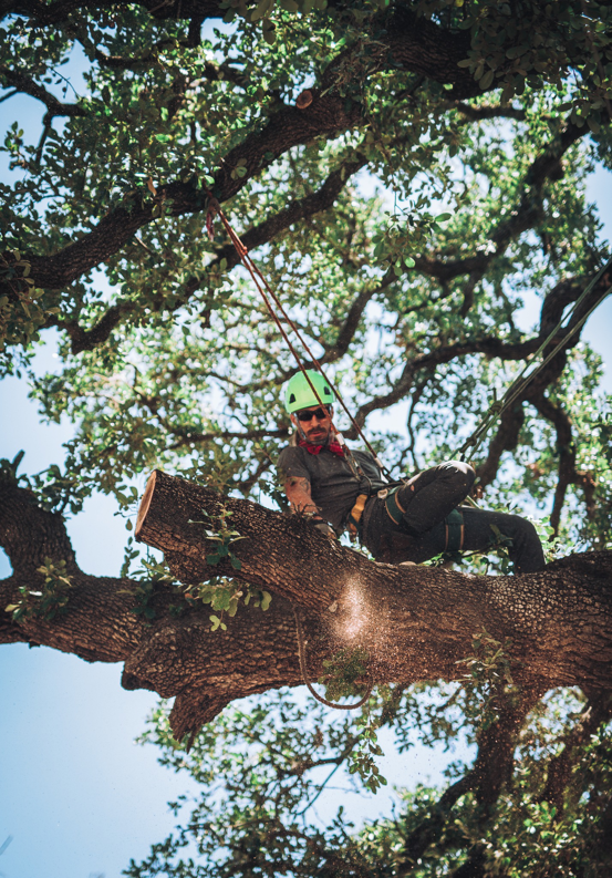 Business queued-photos - Ozark of Austin