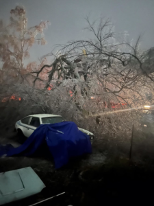 Business queued-photos - Ozark of Austin