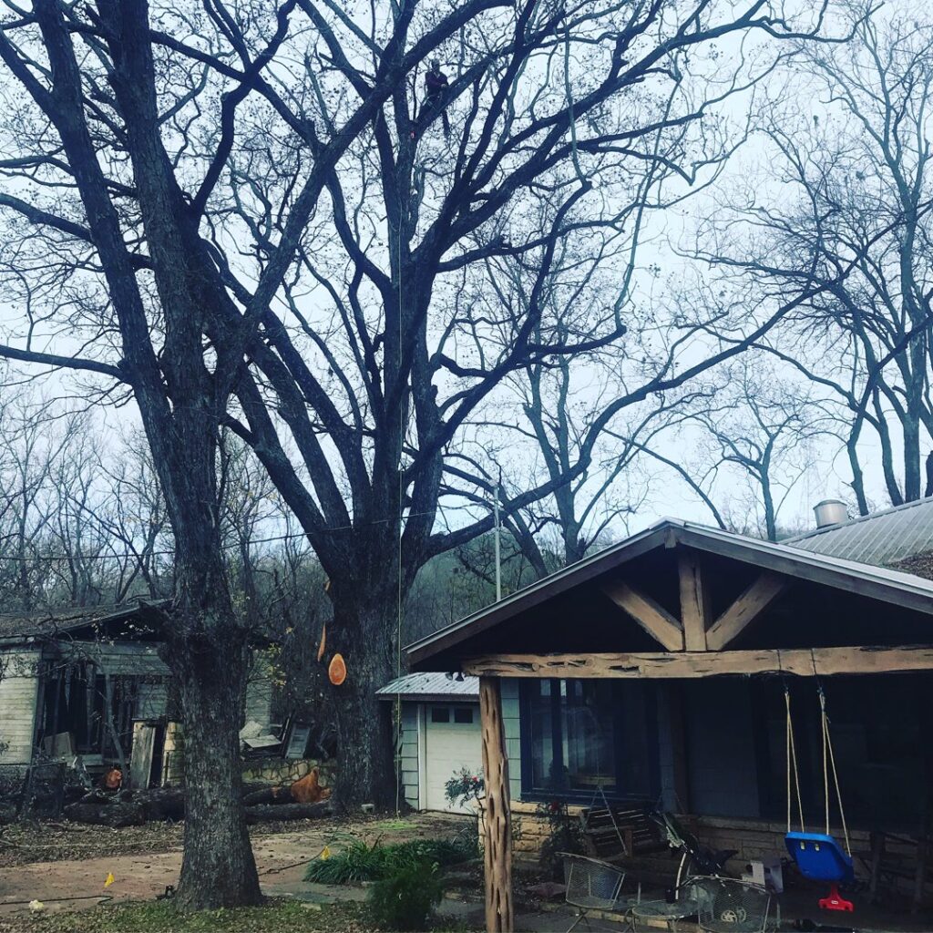 Business queued-photos - Ozark of Austin