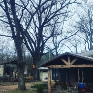 Business queued-photos - Ozark of Austin