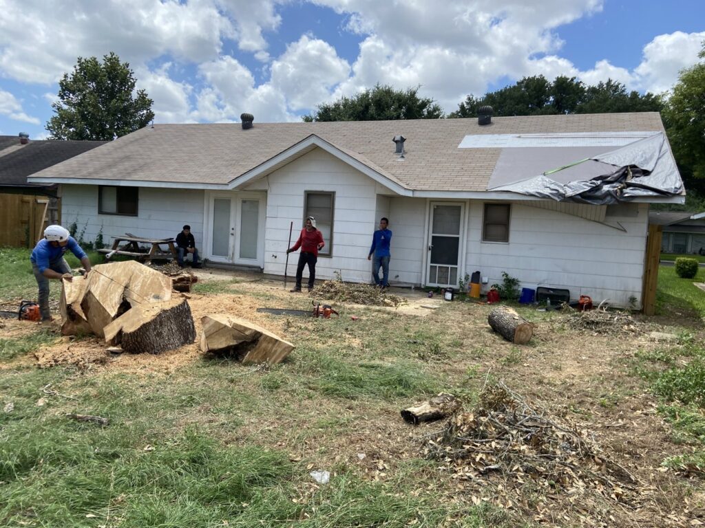 Business queued-photos - Manuel’s Tree Service