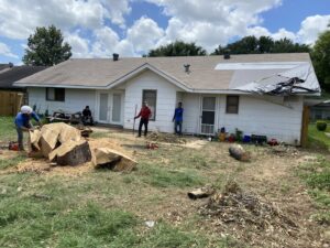 Business queued-photos - Manuel’s Tree Service