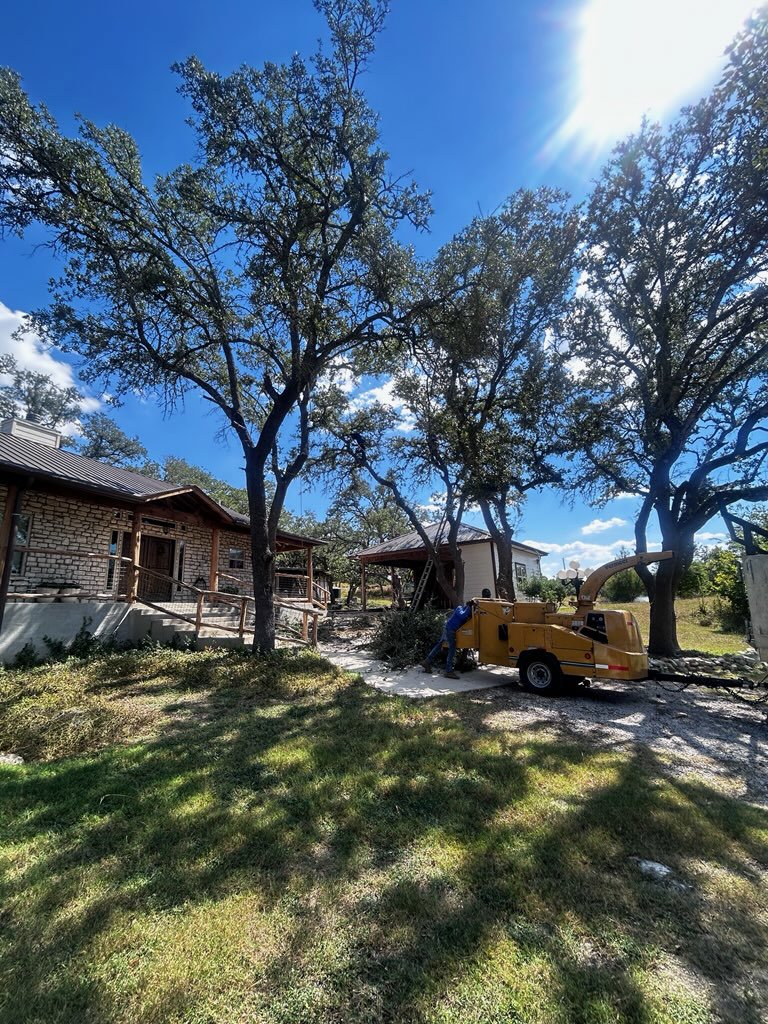 Business queued-photos - Manuel’s Tree Service