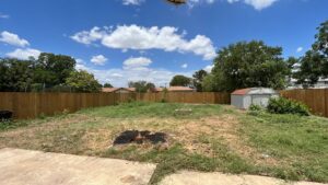 Business queued-photos - Manuel’s Tree Service