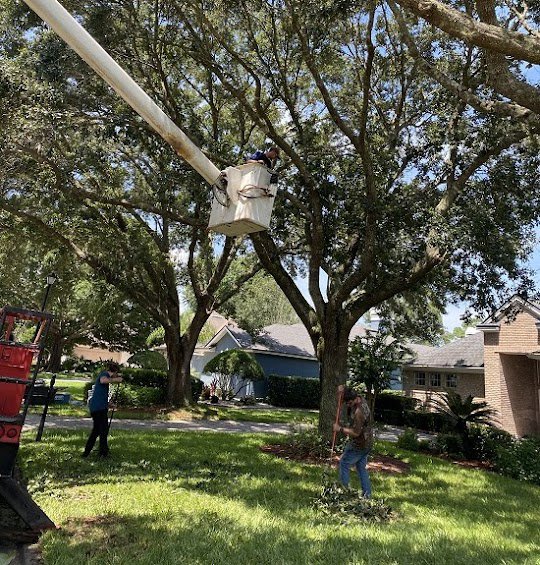 Business queued-photos - Mitchell’s Tree Service