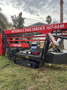 Business queued-photos - Mitchell’s Tree Service