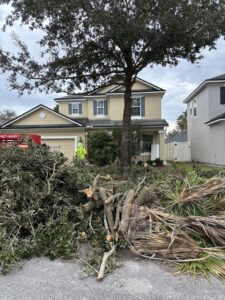 Business queued-photos - Mitchell’s Tree Service