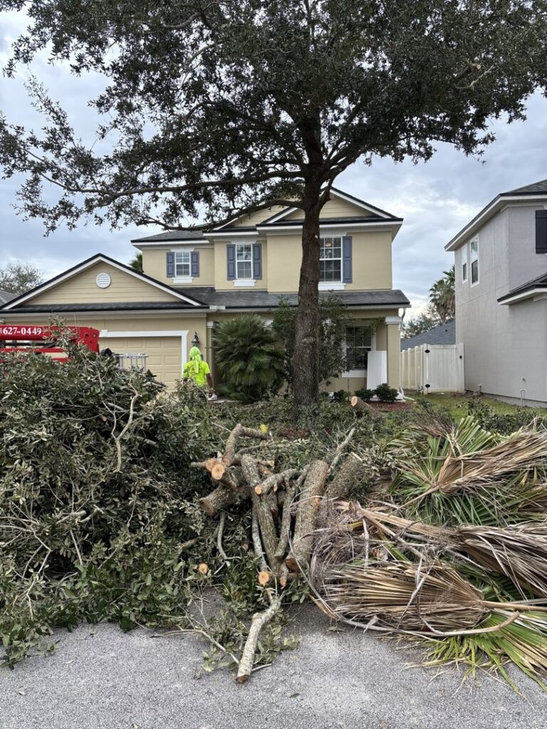 Business queued-photos - Mitchell’s Tree Service