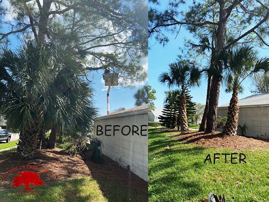 Business queued-photos - Mitchell’s Tree Service