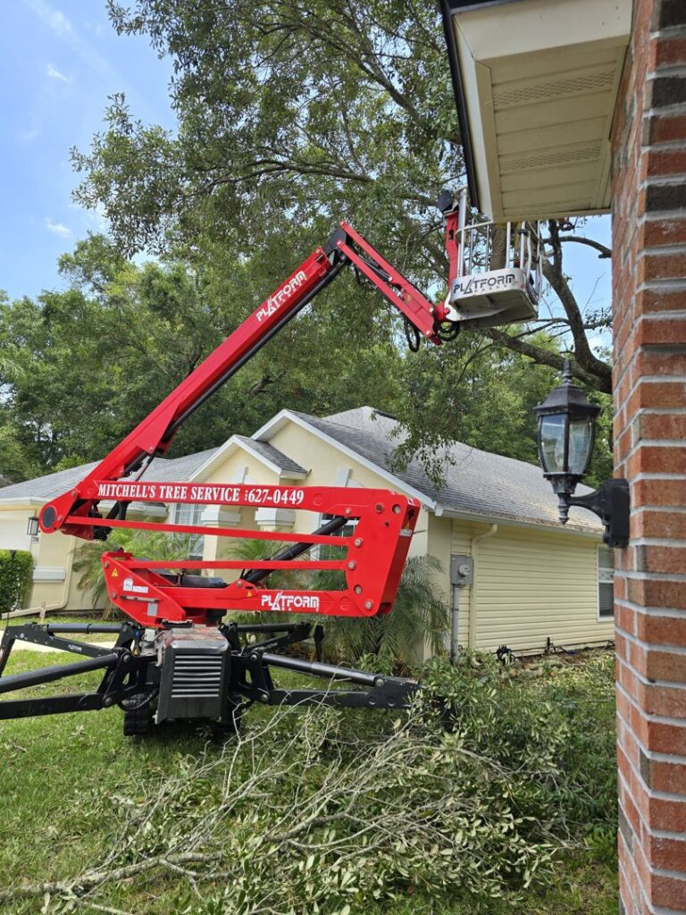 Business queued-photos - Mitchell’s Tree Service